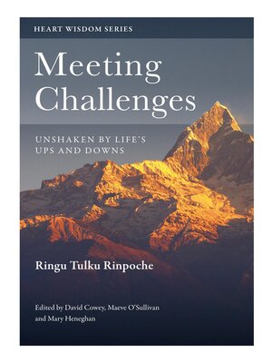 cover image of Meeting Challenges